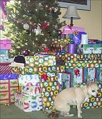 Christmas Comp #23 - Straw Dogs! - FINISHED-dog-pooing-under-christmas-tree-600x698.jpg