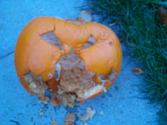 Super Comp - Shameless' Horrid Halloween Giveaway - 31/10/2011 - FINISHED-amba0007.jpg