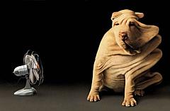 Weekly Comp - Monsters - 10/04/2011 - FINISHED-wrinkley-dog-vs-fan-500x325.jpg